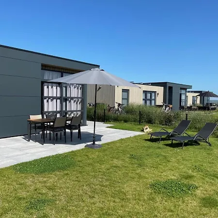 Enkhuizer Windrose Mit Zaun Haus Nr 225 *