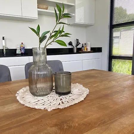 Enkhuizer Windrose Mit Zaun Haus Nr 225