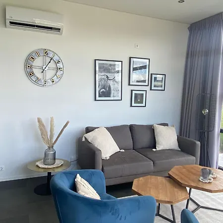 Enkhuizer Windrose Mit Zaun Haus Nr 225 בית נופש