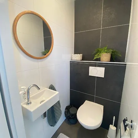 Enkhuizer Windrose Mit Zaun Haus Nr 225 אנקהאוזן