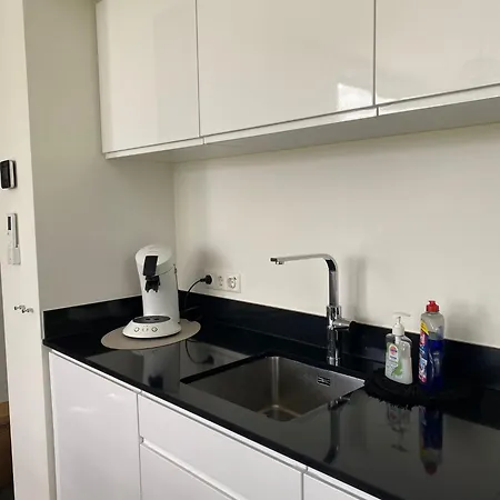 Enkhuizer Windrose Mit Zaun Haus Nr 225 *